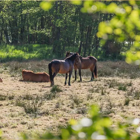 Muehleneck Appartamento Benz (Usedom)